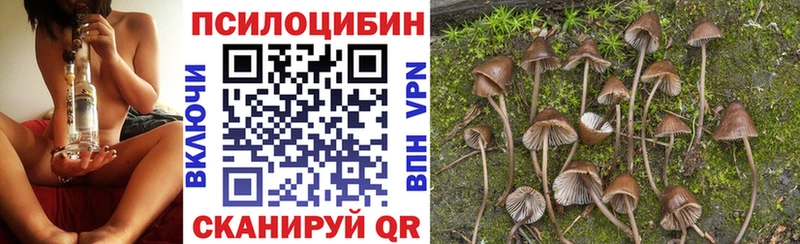 маркетплейс формула купить наркотики сайты Красный Сулин Галлюциногенные грибы Psilocybe